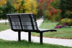 Bench